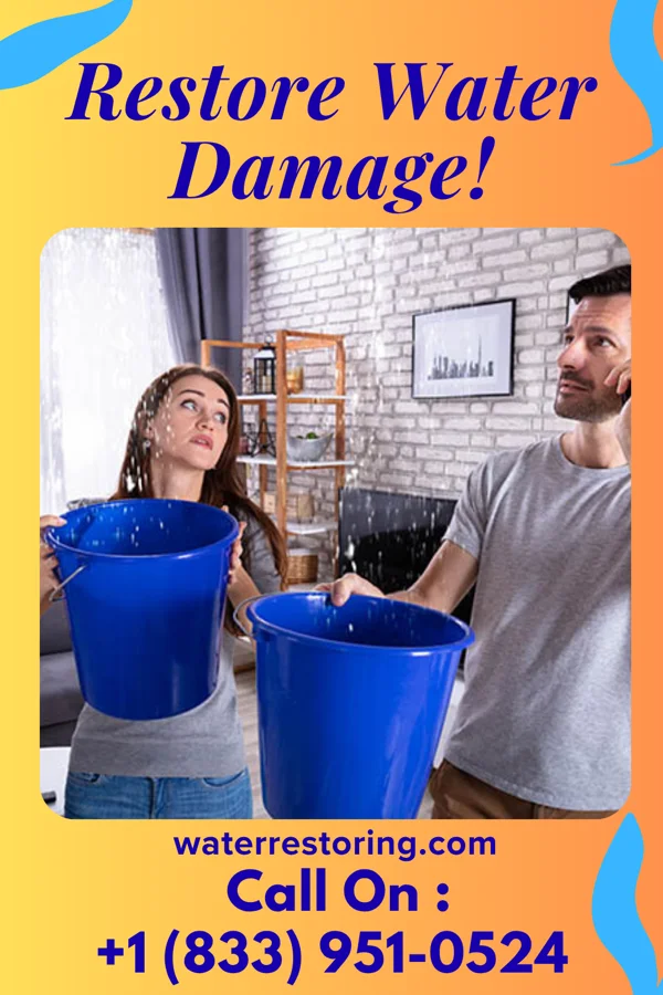 water restoration Ideal Mitigation Network North Chevy Chase