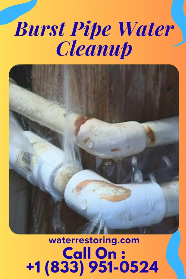 Burst Pipe Water Cleanup in North Chevy Chase, MD