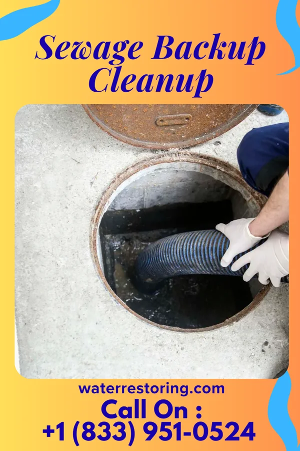 Sewage Backup Cleanup in North Chevy Chase, MD