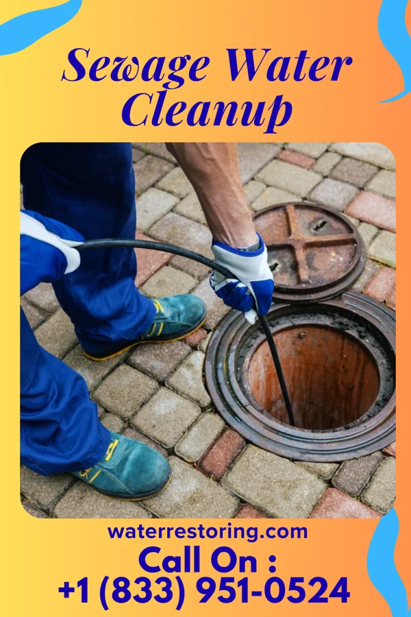 Sewage Water Cleanup in North Chevy Chase, MD