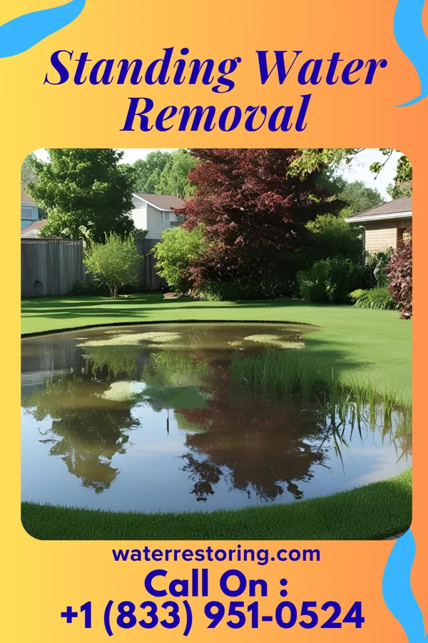Standing Water Removal in North Chevy Chase, MD
